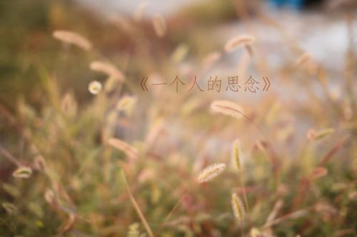 我想念最多的人_1000字