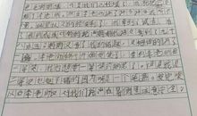 暑假作文：假期随感_400字