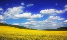 美丽的大自然_450字