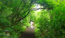 我心中美好的家园_600字