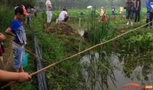 钓龙虾的有趣_550字