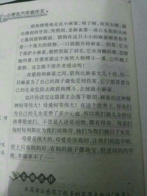 我想飞行_600字