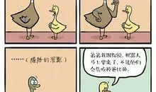 成长中的苦与乐_550字