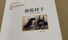 我的精神食粮——书_550字