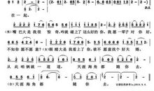 天地之于我_1000字