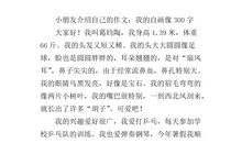 我的自画像_600字