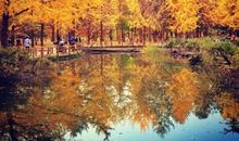 你好，秋天_450字