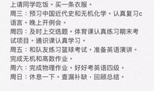 寒假“备忘录”_700字