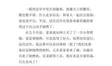 过年趣事_1200字