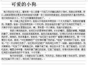 一个难忘的考试_600字
