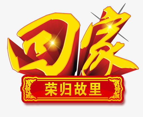 家乡新年_650字