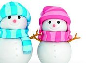 关于雪的成语大全