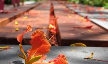 一段没有在一起的时光_1500字