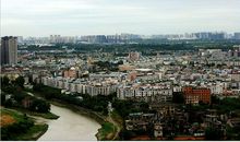 被遗忘的_2000字