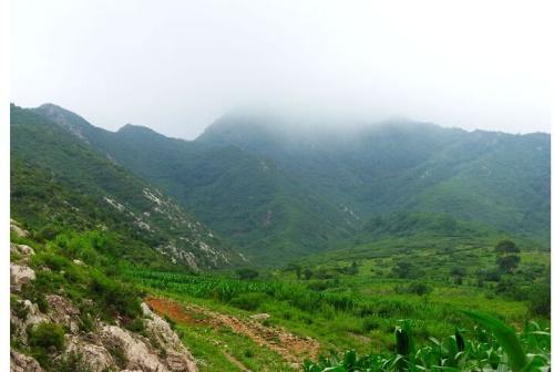 旅游天溪山_650字