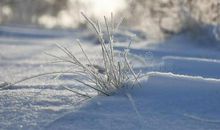 美丽的冬天_450字