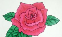 盛开在记忆中的花_2000字