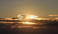 三只是最闪耀的星光_650字