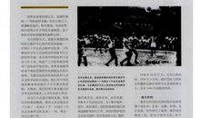 不能被忘却的一些_750字