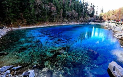 神奇的彩色池_800字