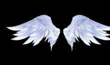 离离的天使_750字