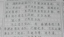 玩转药王谷_650字