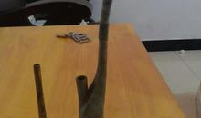 爷爷的烟斗_1200字