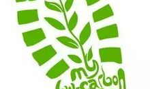 我爱成都美丽家园_1500字