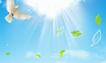 关于和平的作文：飞翔的和平鸽_450字