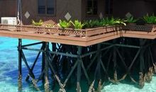 从东南亚事件看“和平”_600字