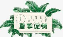 美丽的夏日_1500字