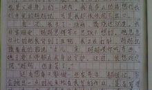 谈谈班内事_800字