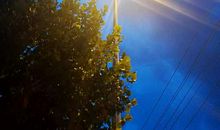 希望的光亮_800字