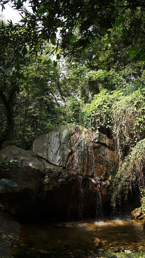 华功山旅游_750字