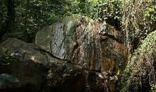 花果山游记_750字