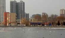 美丽的故乡_900字