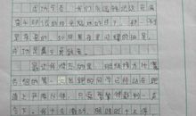 教师节的倾诉_500字