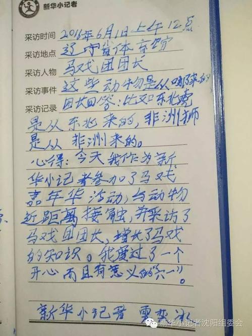 四年级视图：独特的六_800字
