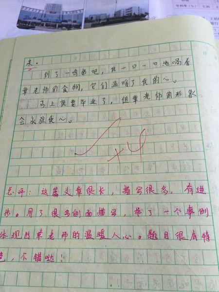 感恩节组成_550字