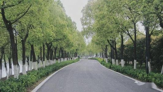 蓝色星球，绿色迹_500字