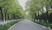 蓝色星球，绿色踪迹_500字