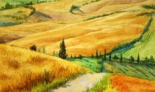 秋天的田野_200字