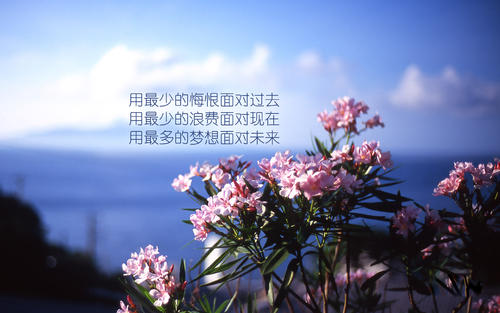 努力实现“梦想”_1200字
