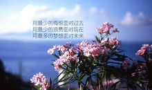 为实现“梦”而奋斗_1200字