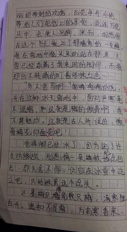 心灵漫步_800字