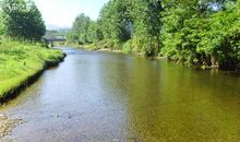 家乡美丽的小河_350字