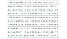 小春儿宝宝_550字