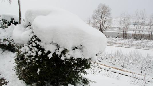 2013年第一只大雪_150字