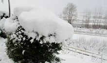 2013年的第一场大雪_150字