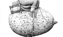 现实与幻想_400字